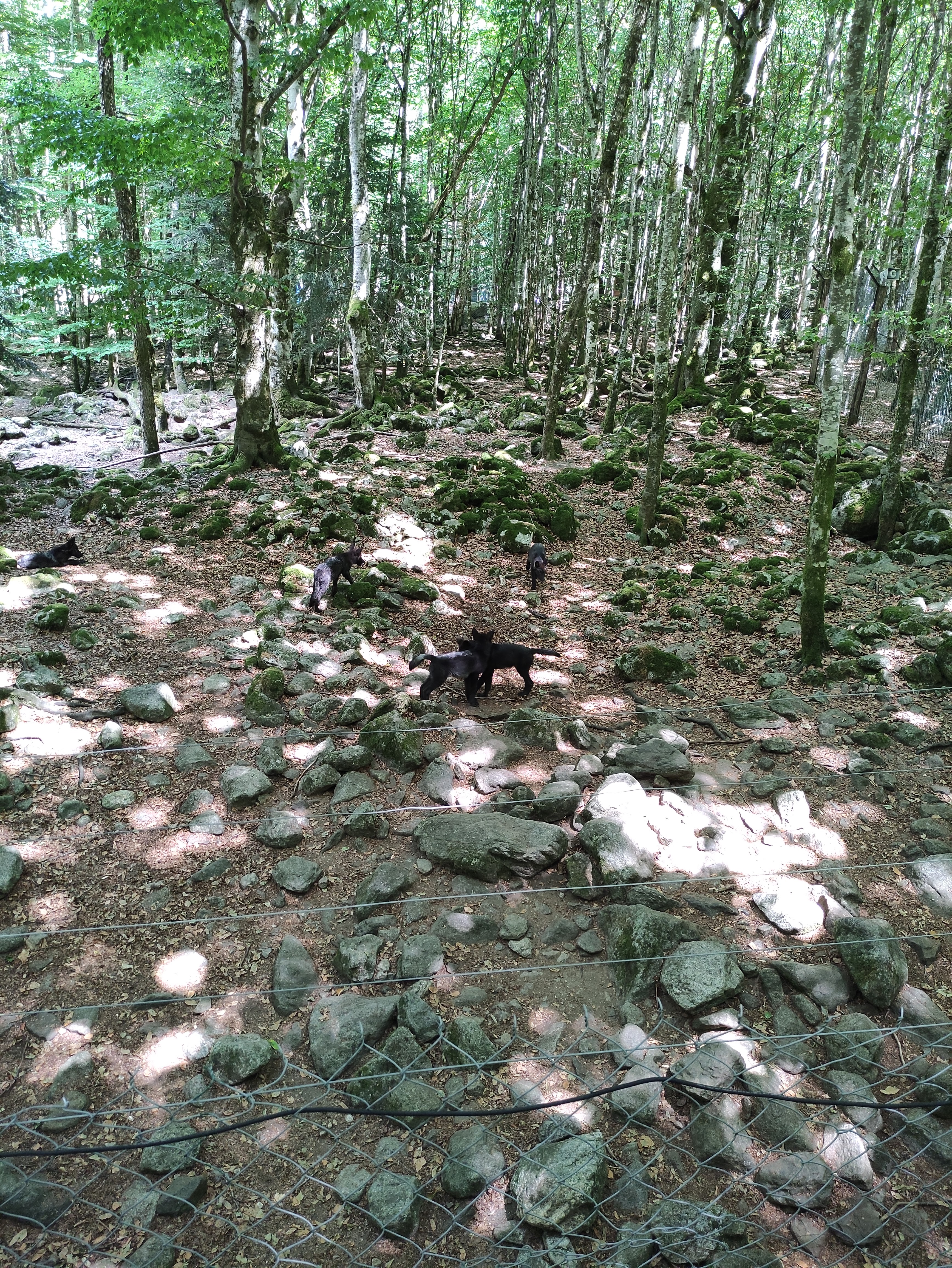 Photo n° 3 de l'avis de Claire.U fait le 13/08/2022 à 18:14