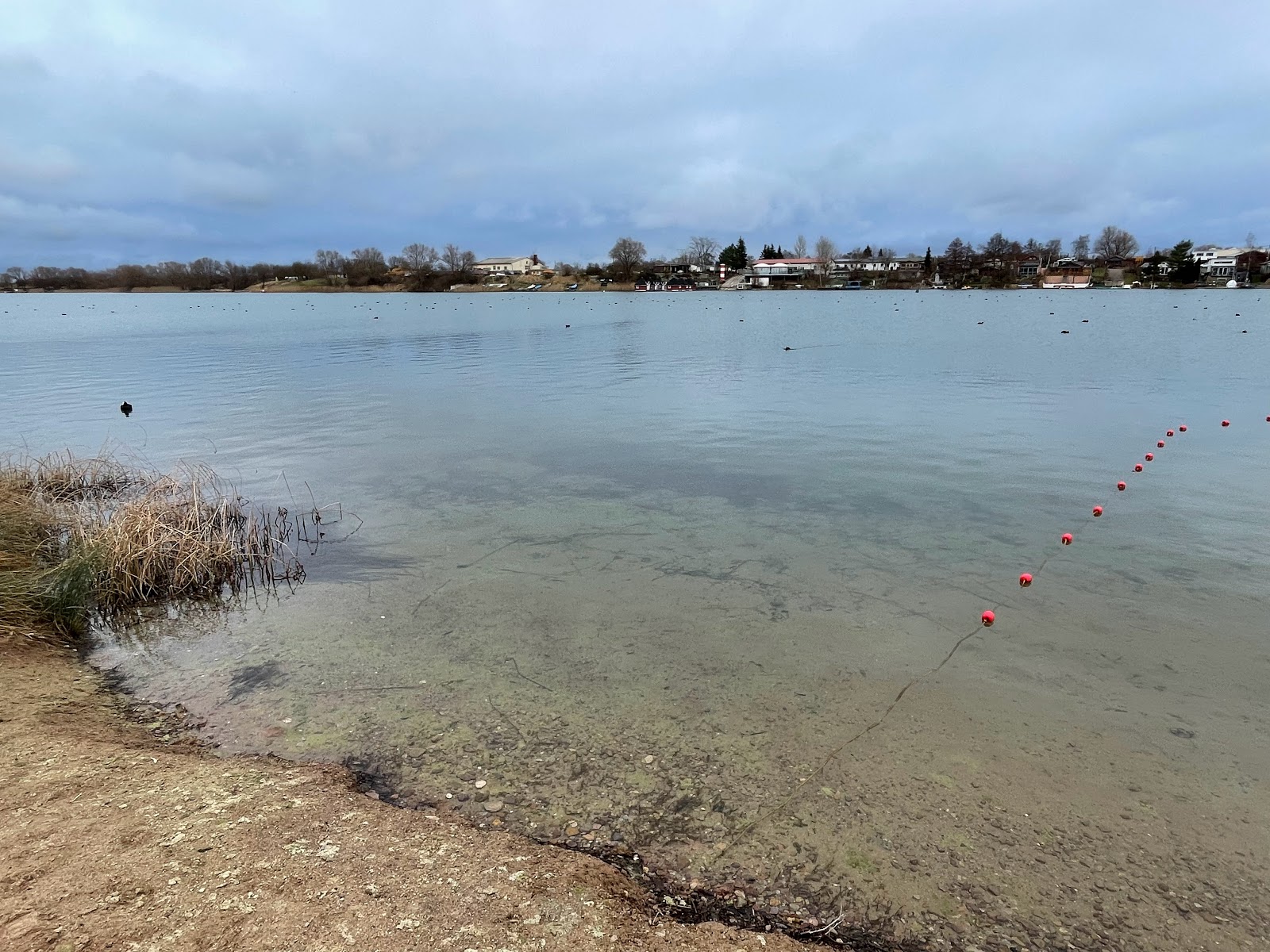 Foto de Freizeitgelande Alperstedter Beach área selvagem