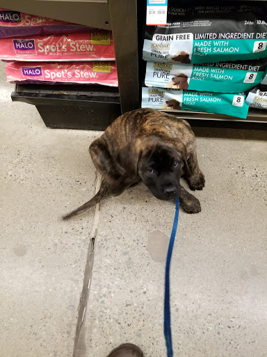 Pet Supply Store «Petco Animal Supplies», reviews and photos, 125 Church St, Pembroke, MA 02359, USA