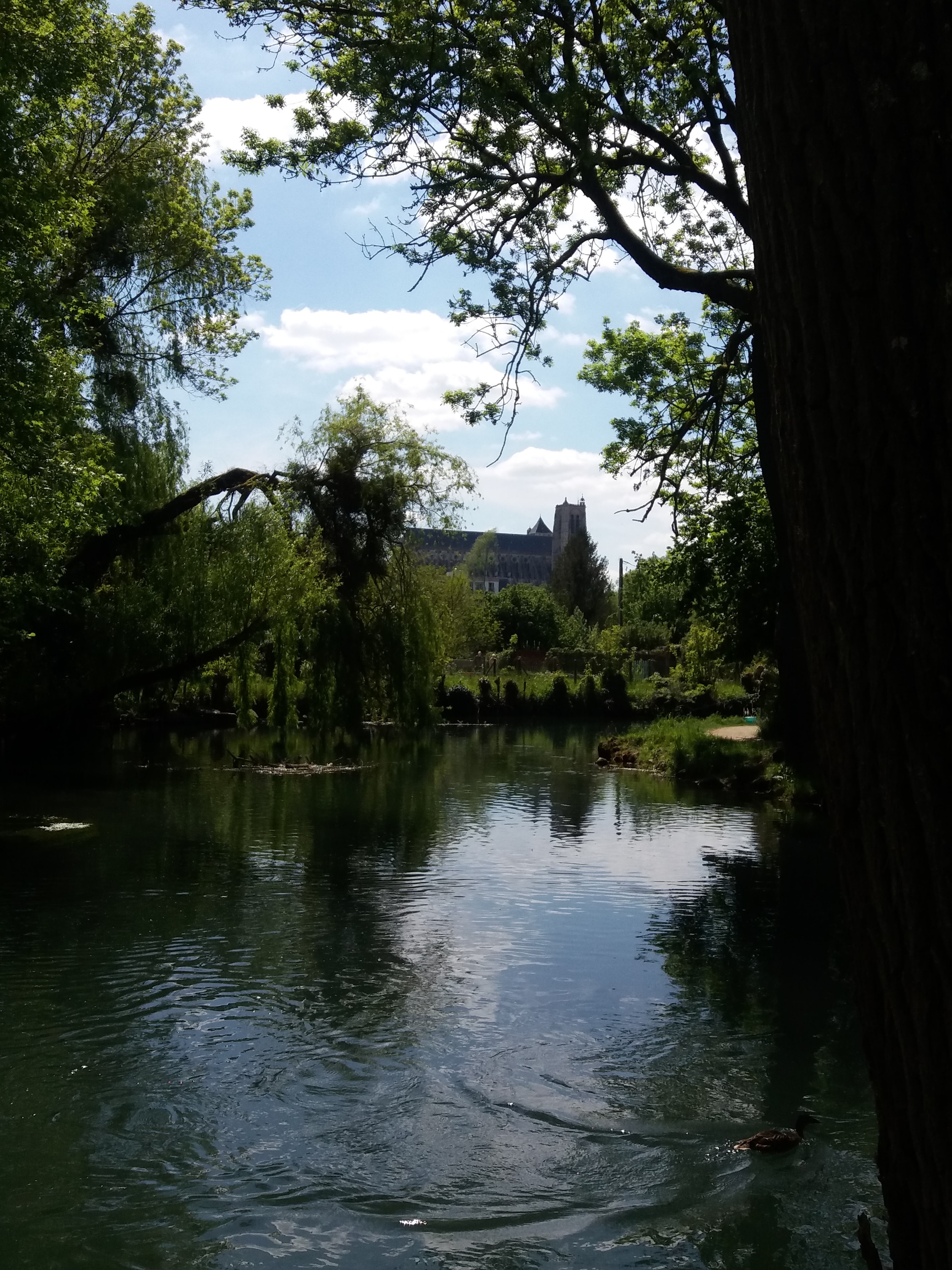 Photo n° 3 de l'avis de Brigitte.r fait le 06/05/2019 à 15:49
