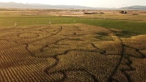 Beaverhead Maze and Pumpkin Patch - photo 3