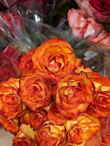 Grocery Store «Kroger Marketplace», reviews and photos, 4613 Marburg Ave, Cincinnati, OH 45209, USA