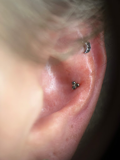 Explore family tree sleeve tattoo ideas, creative tattoo ideas in Tempe, available at Club Tattoo