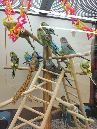 Pet Supply Store «PetSmart», reviews and photos, 475 Bank St, Waterbury, CT 06708, USA