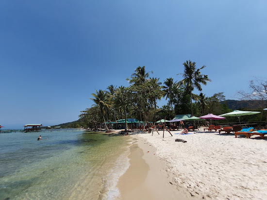 Starfish Beach