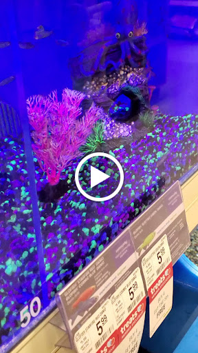 Pet Supply Store «PetSmart», reviews and photos, 1700 Norman Dr #200, Valdosta, GA 31601, USA