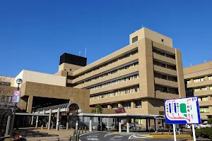 Ibaraki Prefectural Central Hospital image