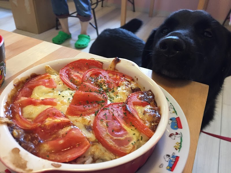 神奈川県のドッグカフェ 室内ドッグラン Smiley Smile スマイリースマイル 神奈川県相模原市中央区陽光台 ドッグカフェ グルコミ