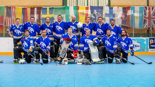 FUENGIROLA LIONS HOCKEY ARENA