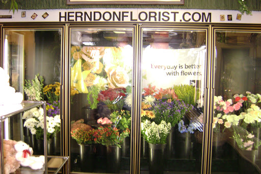 Florist «Herndon Florist, Inc.», reviews and photos, 716 Lynn St, Herndon, VA 20170, USA