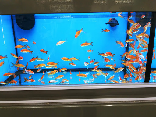 Pet Supply Store «Pet Supplies Plus», reviews and photos, 2001 E 7th St, Charlotte, NC 28204, USA