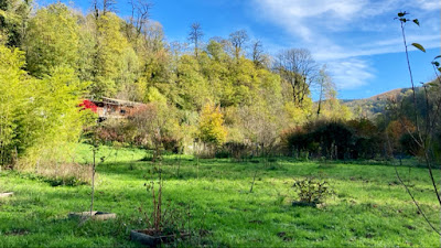 Le Verdet à Cambounès
