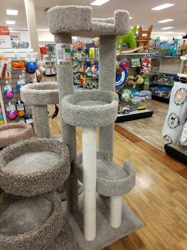 Department Store «HomeGoods», reviews and photos, 1395 Herndon Ave, Clovis, CA 93611, USA