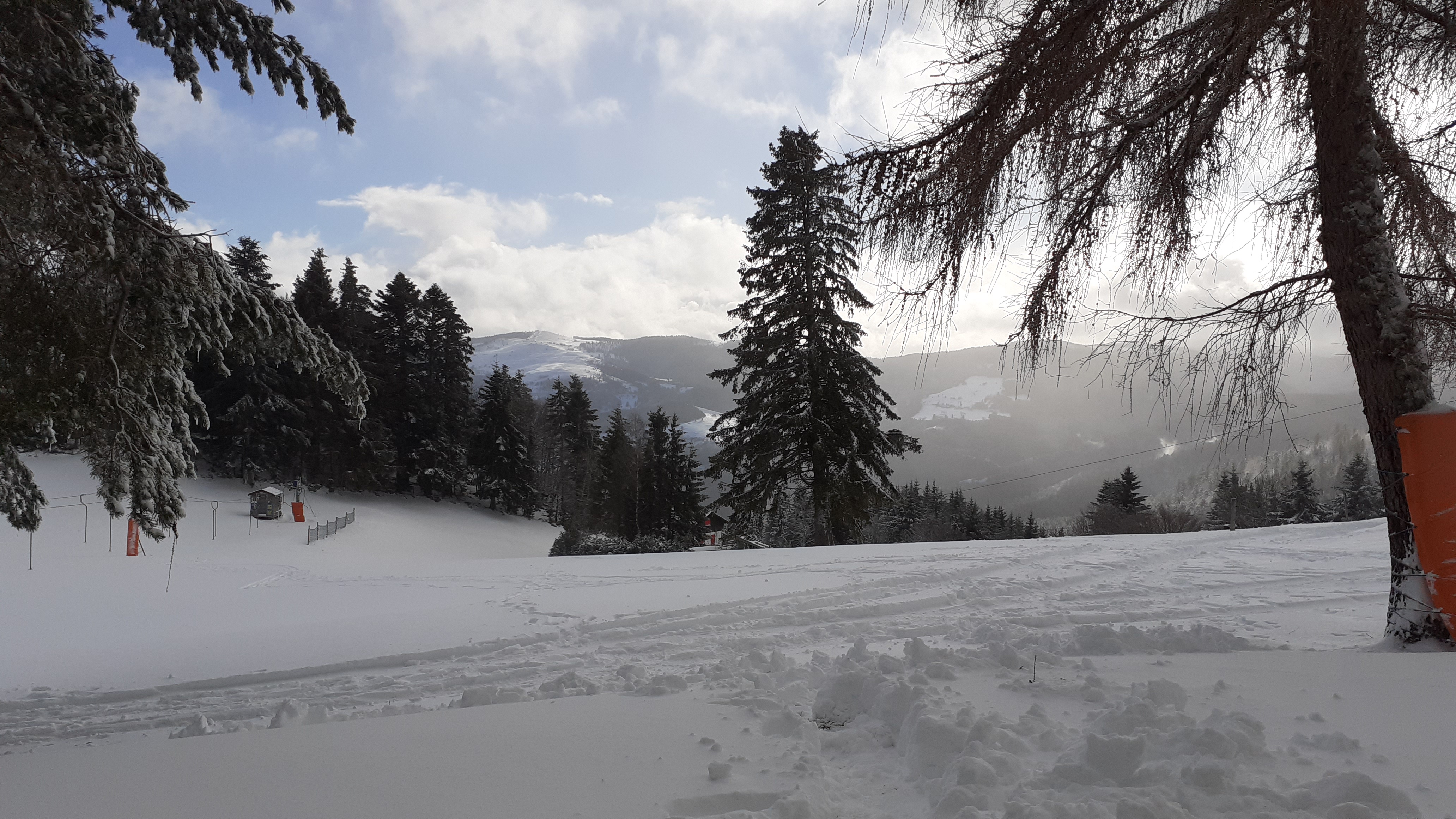 Photo n° 1 de l'avis de Hélène.e fait le 10/01/2022 à 14:07