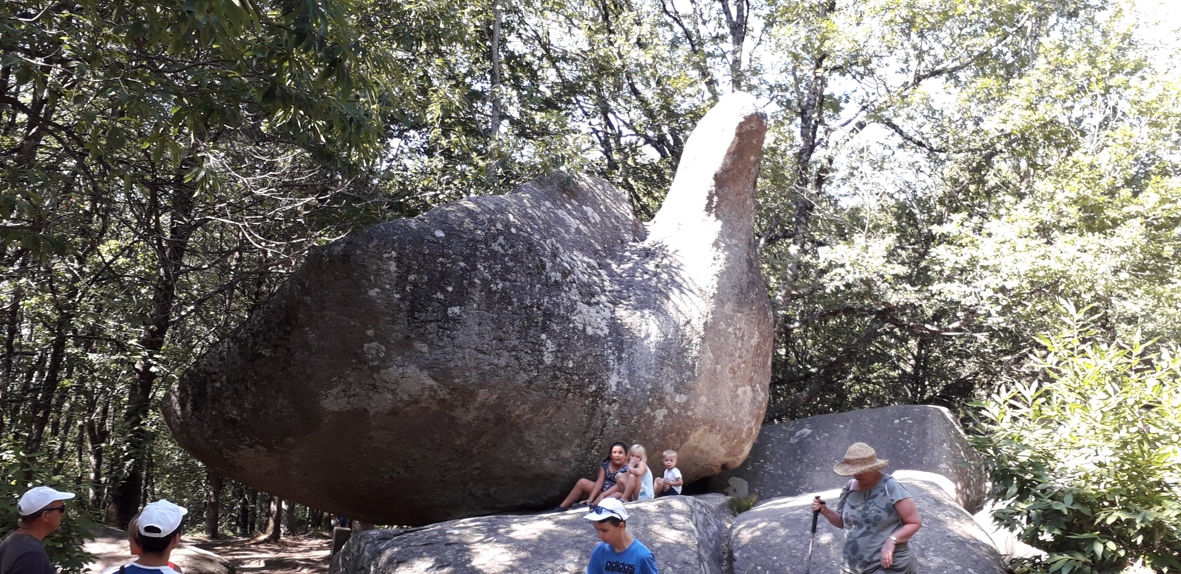 Photo n° 1 de l'avis de Clo.N fait le 18/08/2019 à 06:01