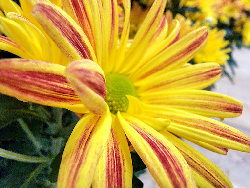 Supermarket «Giant Eagle Supermarket», reviews and photos, 4343 E Royalton Rd, Broadview Heights, OH 44147, USA