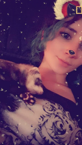 Pet Supply Store «Petco Animal Supplies», reviews and photos, 5239 Harvey St, Norton Shores, MI 49444, USA