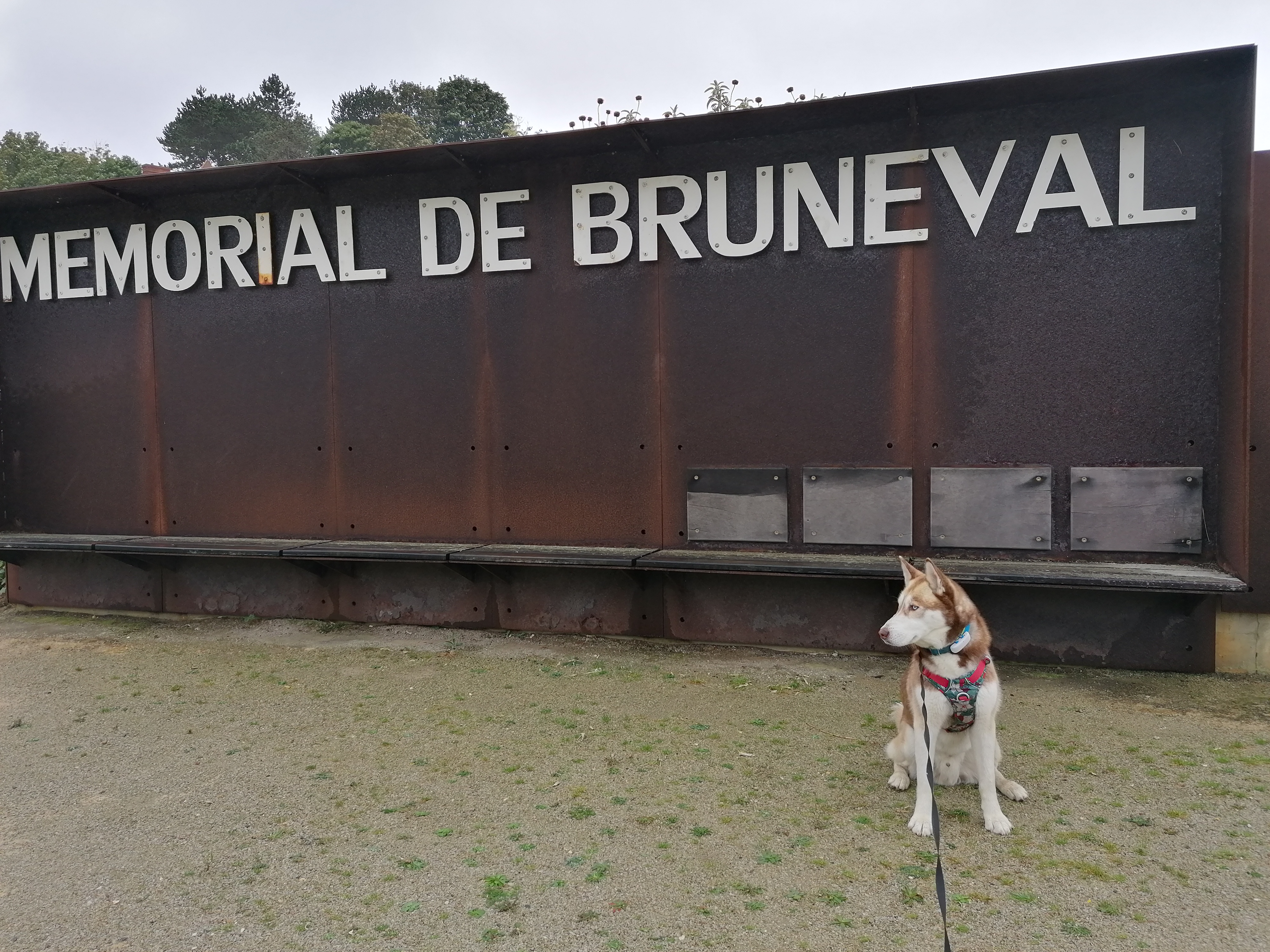 Photo n° 4 de l'avis de Liane.e fait le 20/09/2021 à 12:26