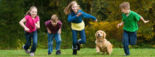 Pet Supply Store «The Naked Dog (Protein For Pets)», reviews and photos, 701 S Weir Canyon Rd #111, Anaheim, CA 92808, USA