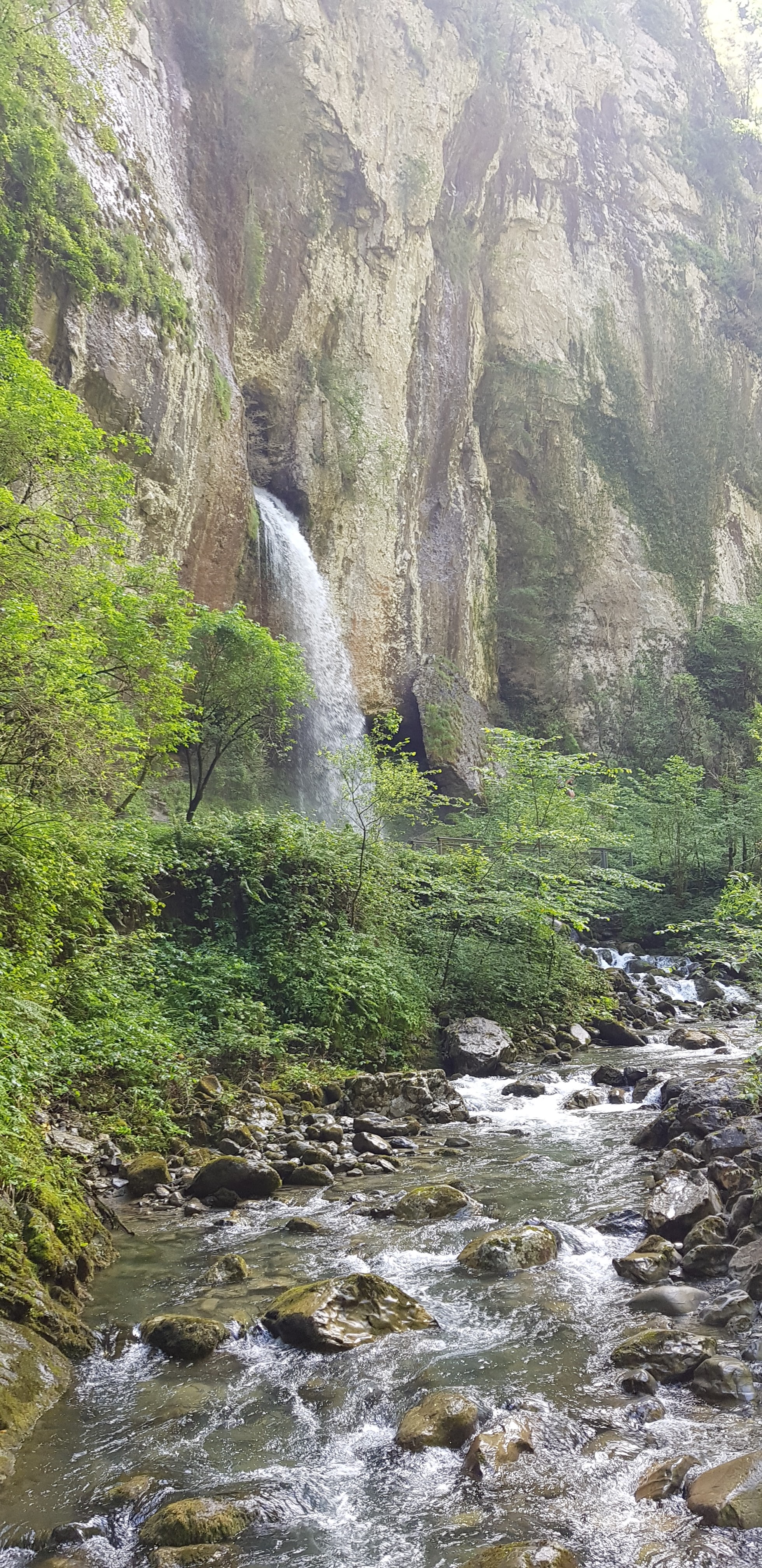 Photo n° 7 de l'avis de fabrice.e fait le 19/07/2018 à 07:30