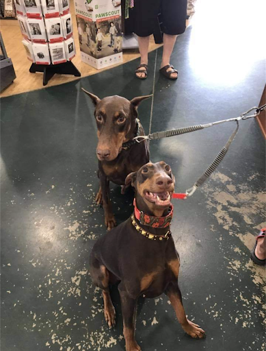 Pet Supply Store «Rucker Horse & Pet», reviews and photos, 3540 Keith Bridge Rd, Cumming, GA 30041, USA