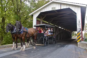 AAA Buggy Rides image