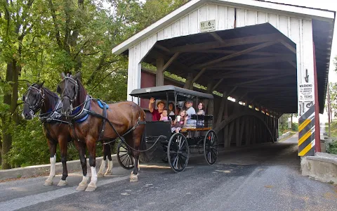 AAA Buggy Rides image