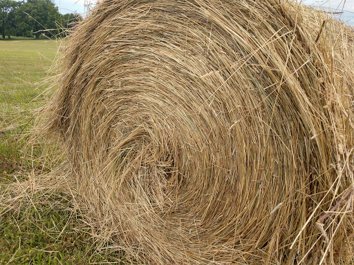 Historical Place «The Kernstown Battlefield», reviews and photos, 610 Battle Park Dr, Winchester, VA 22601, USA