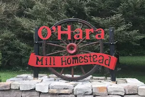 O'Hara Mill Homestead and Conservation Area image