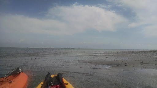 Canoe & Kayak Store «SouthEast Expeditions», reviews and photos, 32218 Lankford Hwy, Cape Charles, VA 23310, USA