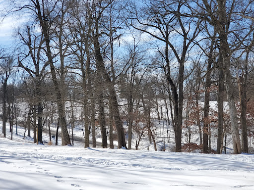 Recreation Center «Go Ape Zip Line & Treetop Adventure - Creve Coeur Park», reviews and photos, 13219 Streetcar Dr, Maryland Heights, MO 63043, USA