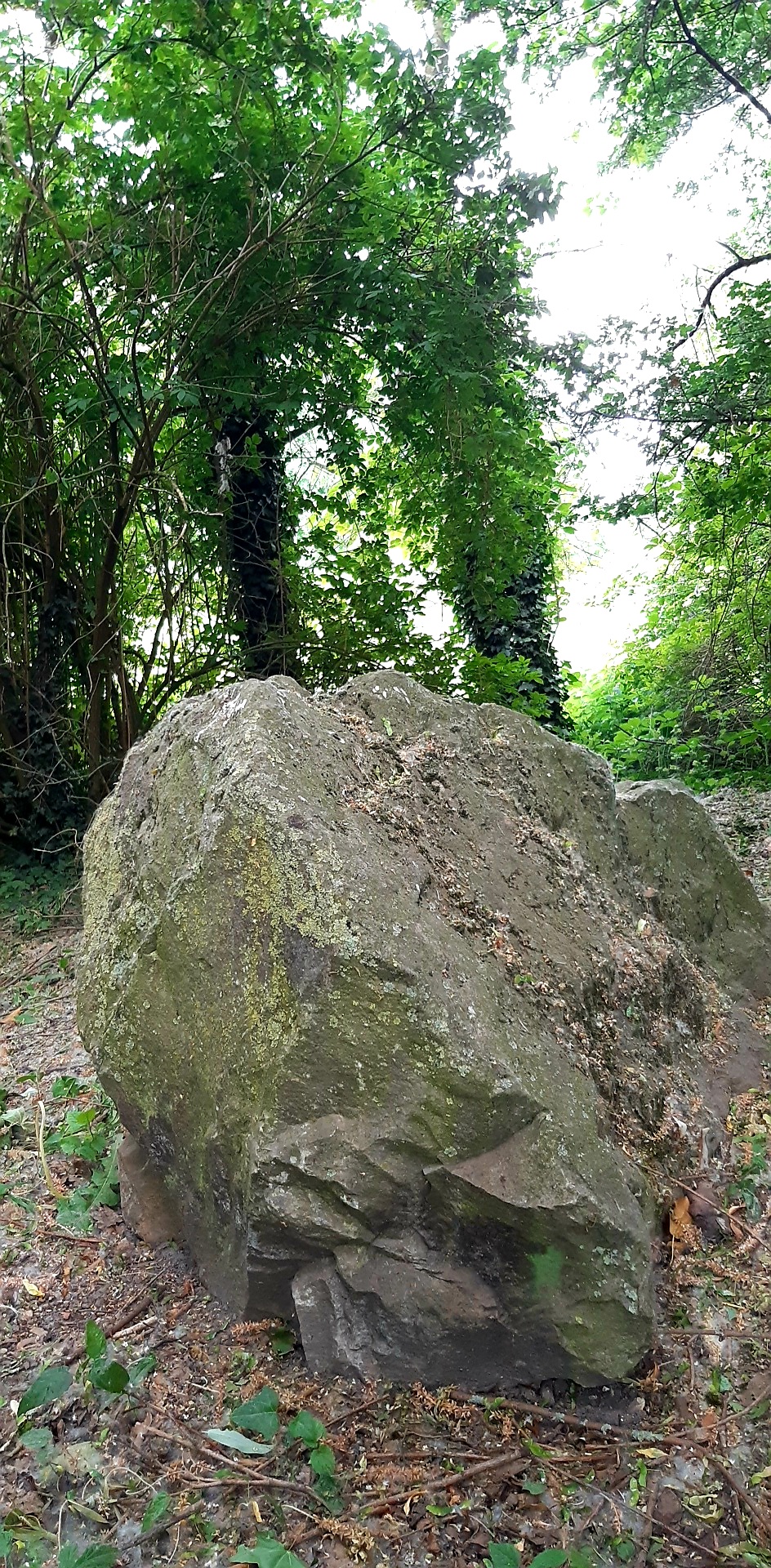 Photo n° 27 de l'avis de Lore.e fait le 24/05/2020 à 16:12