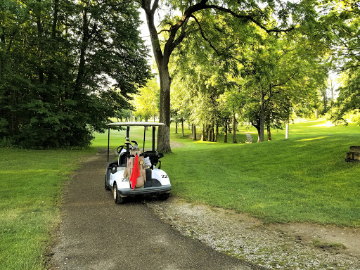 Golf Course «Brookwood Golf Course», reviews and photos, 1339 Rynearson St, Buchanan, MI 49107, USA
