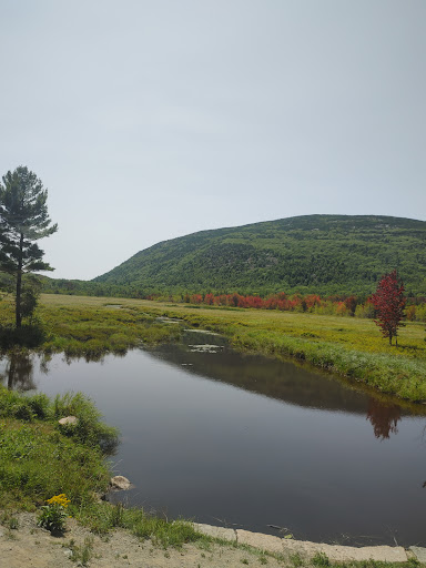 Sightseeing Tour Agency «Acadia National Park Tours», reviews and photos, 53 Main St, Bar Harbor, ME 04609, USA