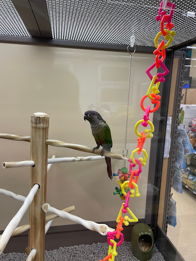 Pet Supply Store «Petco Animal Supplies», reviews and photos, 2635 Bell Rd, Auburn, CA 95603, USA