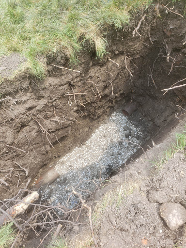 Plumber «Flomaxx Sewer & Plumbing Inc.», reviews and photos, 1540 E 168th St, South Holland, IL 60473, USA