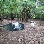 Photo n° 5 de l'avis de Hélène.e fait le 05/08/2023 à 11:30 pour La Vallée des Bambous à Plougonver