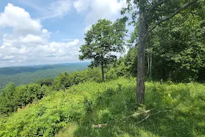 Pinnacle Trailhead, Holden Trail image