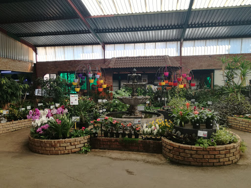 Tulip Garden Centre