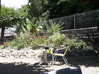 Jardin du Café L'ilot café rétro à Cheillé - n°9