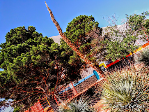 Park «Marty Robbins Park», reviews and photos, 11600 Vista Del Sol Dr, El Paso, TX 79936, USA