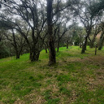 Photo n°9 de l'avis de Sudershan.i fait le 20/03/2023 à 11:18 sur le  SHG Hotel Antonella à Pomezia