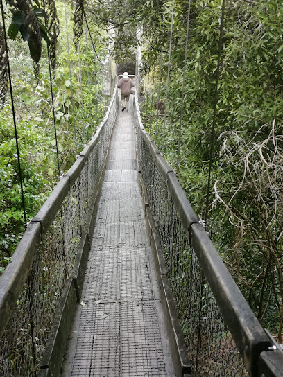 Cannon Point Walkway Bridge Rd Car Park