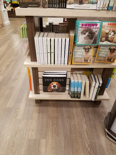 Gift Shop «The Paper Store», reviews and photos, 9 Mozzone Blvd, Taunton, MA 02780, USA