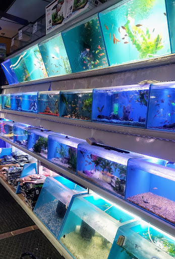 Pet Supply Store «Aquariums and Reptiles», reviews and photos, 11400 S Cleveland Ave, Fort Myers, FL 33907, USA