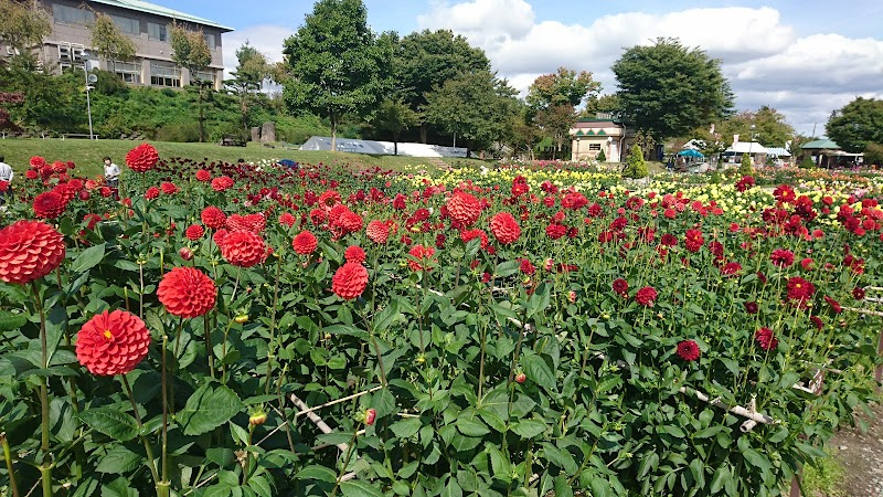 川西ダリヤ園 ジャブジャブ水路