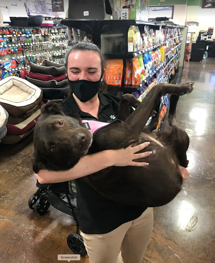 Pet Store «Choice Pet Market», reviews and photos, 20028 N 67th Ave, Glendale, AZ 85308, USA