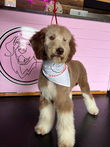 Hartwell Happy Hounds