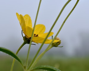Oak Hill Park - photo 97
