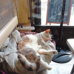 Photo n°3 de l'avis de berengere.e fait le 21/01/2024 à 00:09 sur le  Francis Drake/One Time à Cagliari